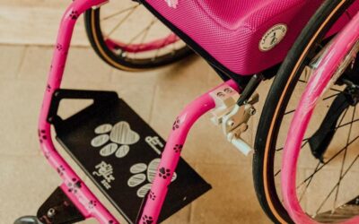 FELIX: il colore dell’amore è ROSA